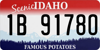 ID license plate 1B9178O