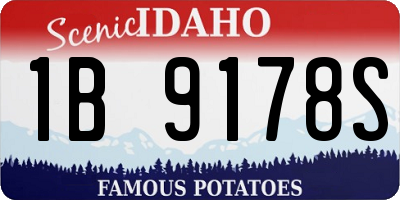 ID license plate 1B9178S