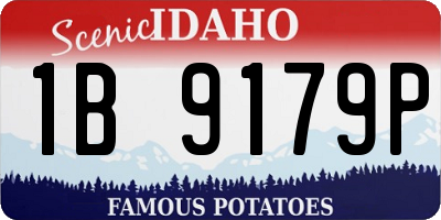 ID license plate 1B9179P