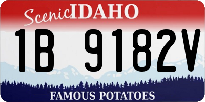 ID license plate 1B9182V