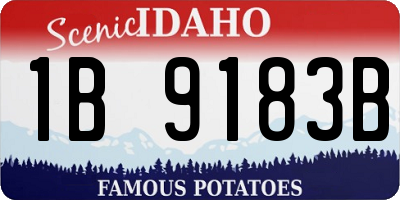 ID license plate 1B9183B