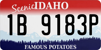 ID license plate 1B9183P