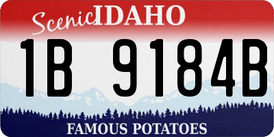 ID license plate 1B9184B