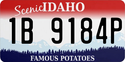 ID license plate 1B9184P