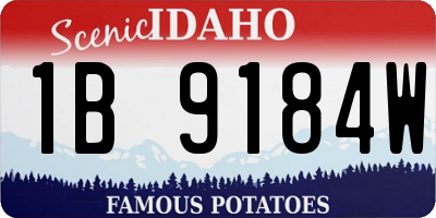 ID license plate 1B9184W