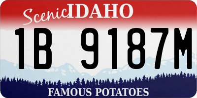 ID license plate 1B9187M