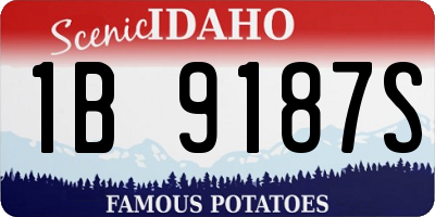 ID license plate 1B9187S