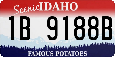 ID license plate 1B9188B