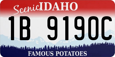 ID license plate 1B9190C