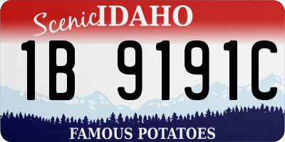ID license plate 1B9191C