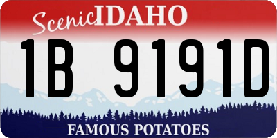 ID license plate 1B9191D