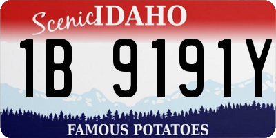 ID license plate 1B9191Y