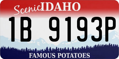 ID license plate 1B9193P