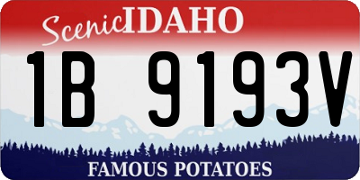 ID license plate 1B9193V