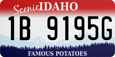 ID license plate 1B9195G