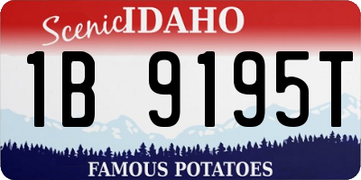 ID license plate 1B9195T