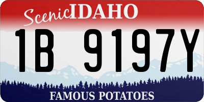 ID license plate 1B9197Y