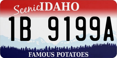 ID license plate 1B9199A