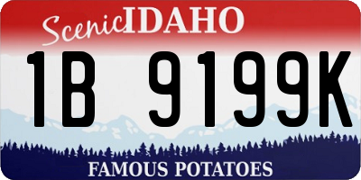 ID license plate 1B9199K