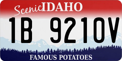 ID license plate 1B9210V