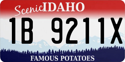 ID license plate 1B9211X