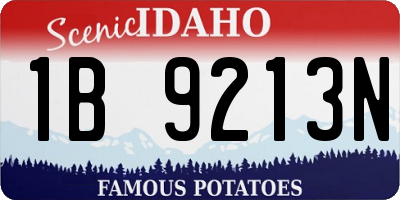 ID license plate 1B9213N