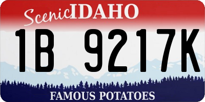 ID license plate 1B9217K