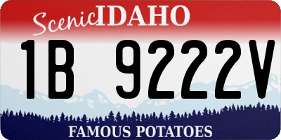 ID license plate 1B9222V