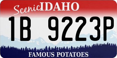 ID license plate 1B9223P