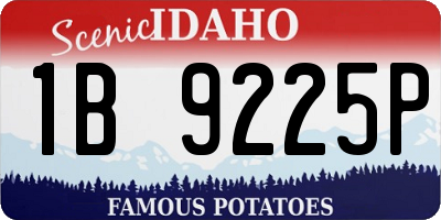 ID license plate 1B9225P