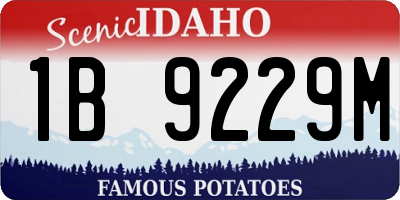 ID license plate 1B9229M
