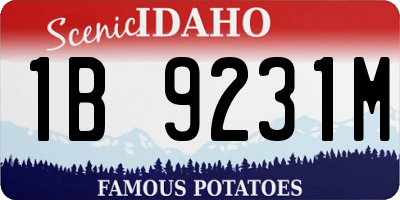 ID license plate 1B9231M