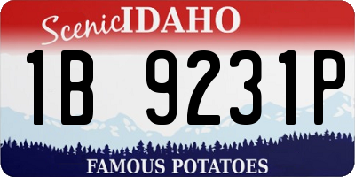 ID license plate 1B9231P