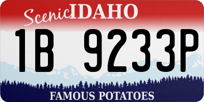 ID license plate 1B9233P