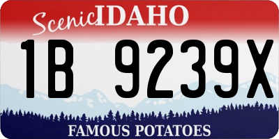 ID license plate 1B9239X