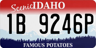 ID license plate 1B9246P