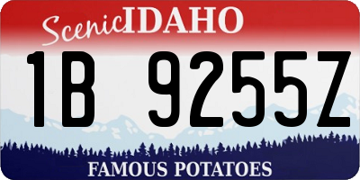 ID license plate 1B9255Z