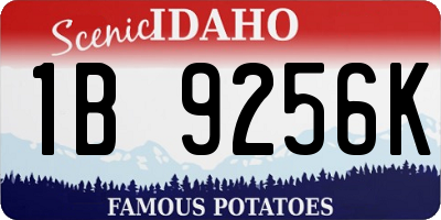 ID license plate 1B9256K