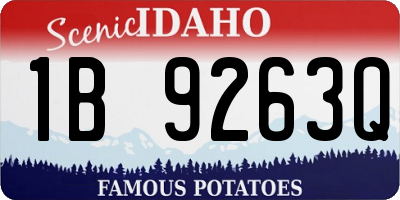 ID license plate 1B9263Q