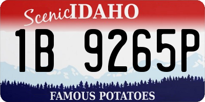 ID license plate 1B9265P