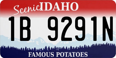 ID license plate 1B9291N