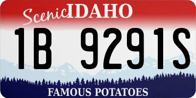 ID license plate 1B9291S