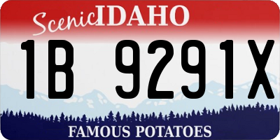 ID license plate 1B9291X