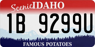 ID license plate 1B9299U