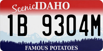 ID license plate 1B9304M