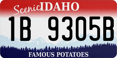 ID license plate 1B9305B