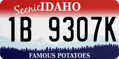 ID license plate 1B9307K