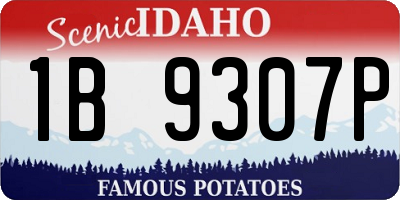 ID license plate 1B9307P
