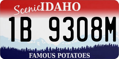 ID license plate 1B9308M