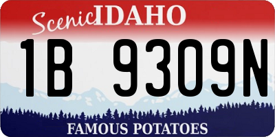 ID license plate 1B9309N